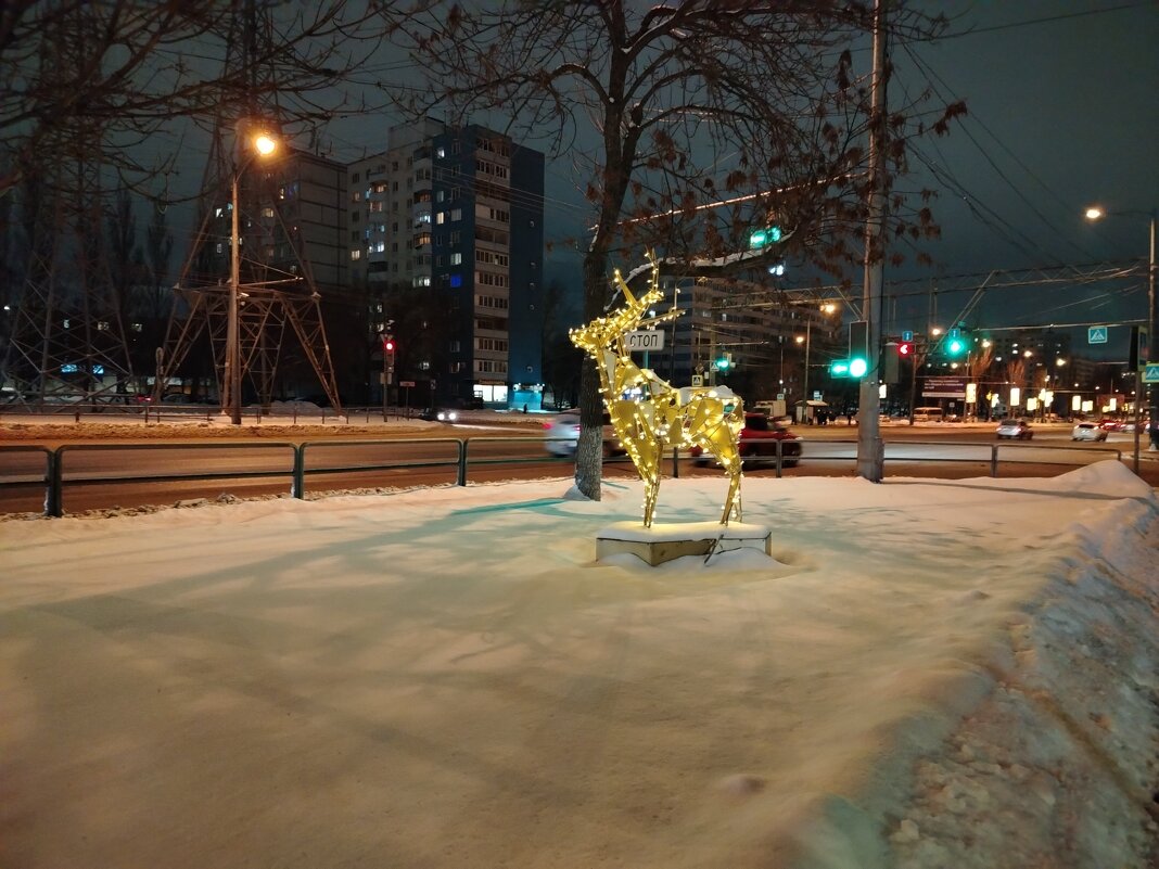 Самара новогодняя - Надежда 