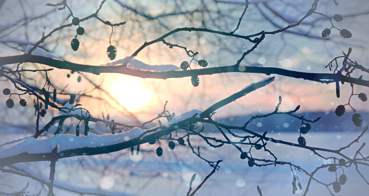 Январь - Марина 