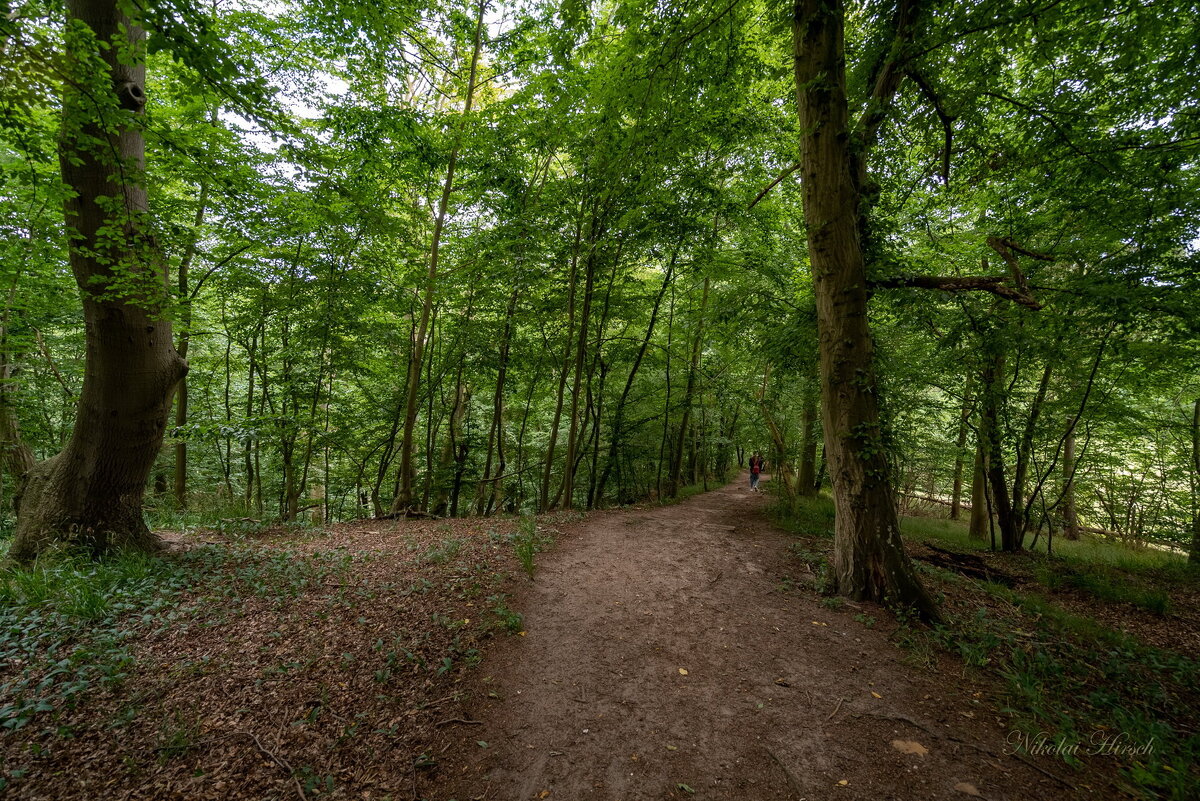 На природу... - Николай Гирш