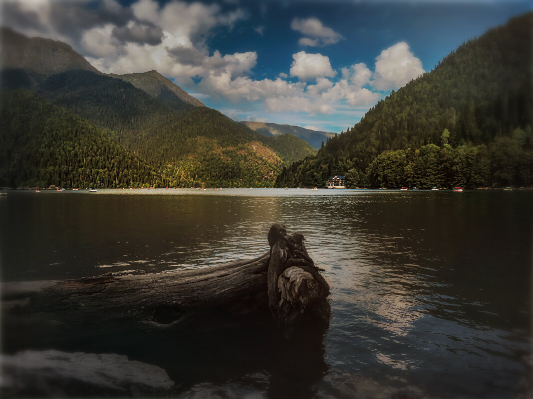 Рица. - AZ east3