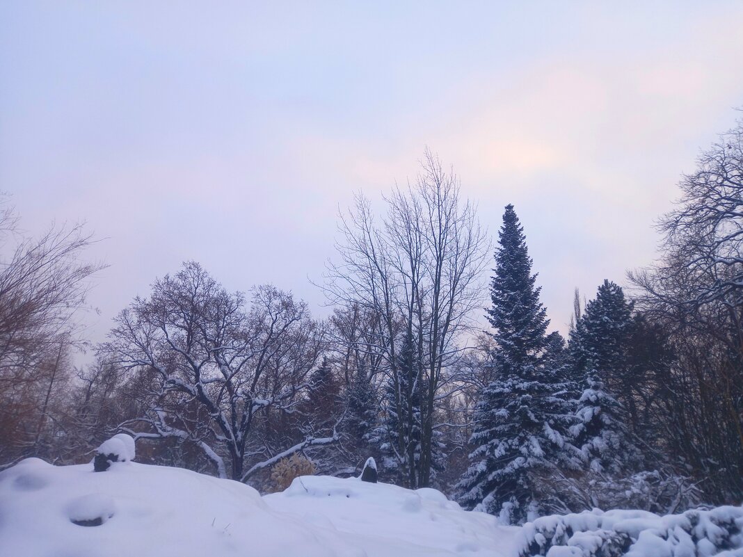 Закат - Сапсан 