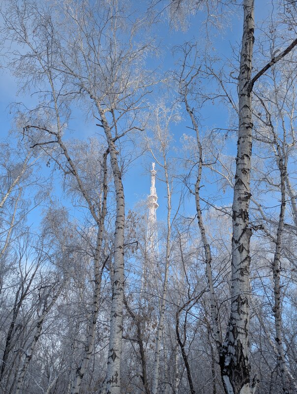 Январский мороз - Андрей Хлопонин