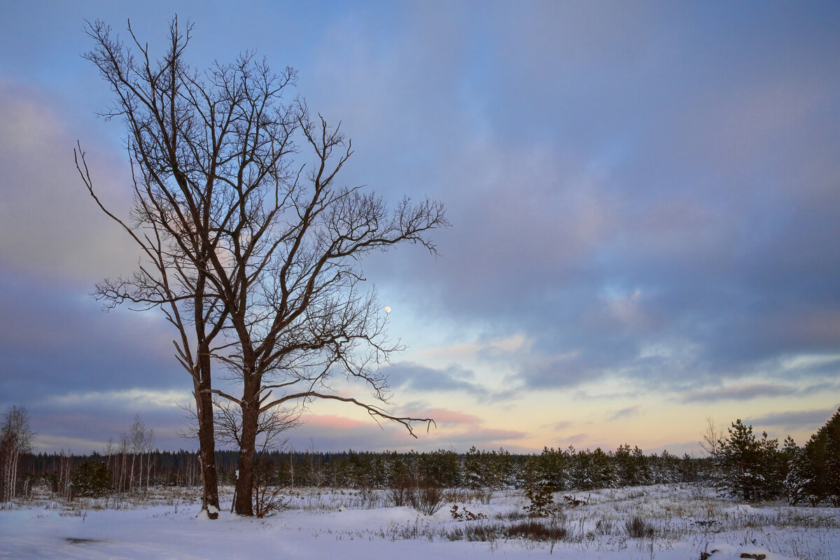 Два одиноких великана - Валерий VRN