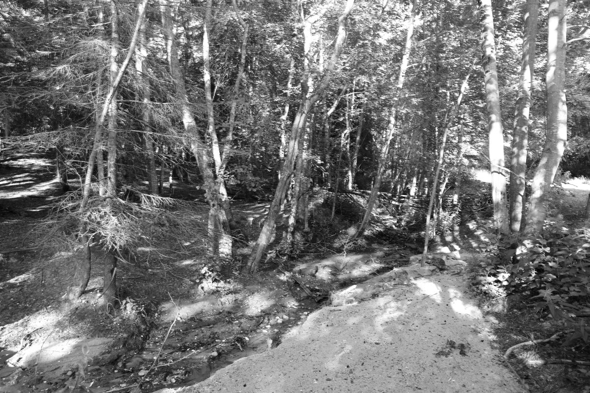 Фотография - Денис Безногов