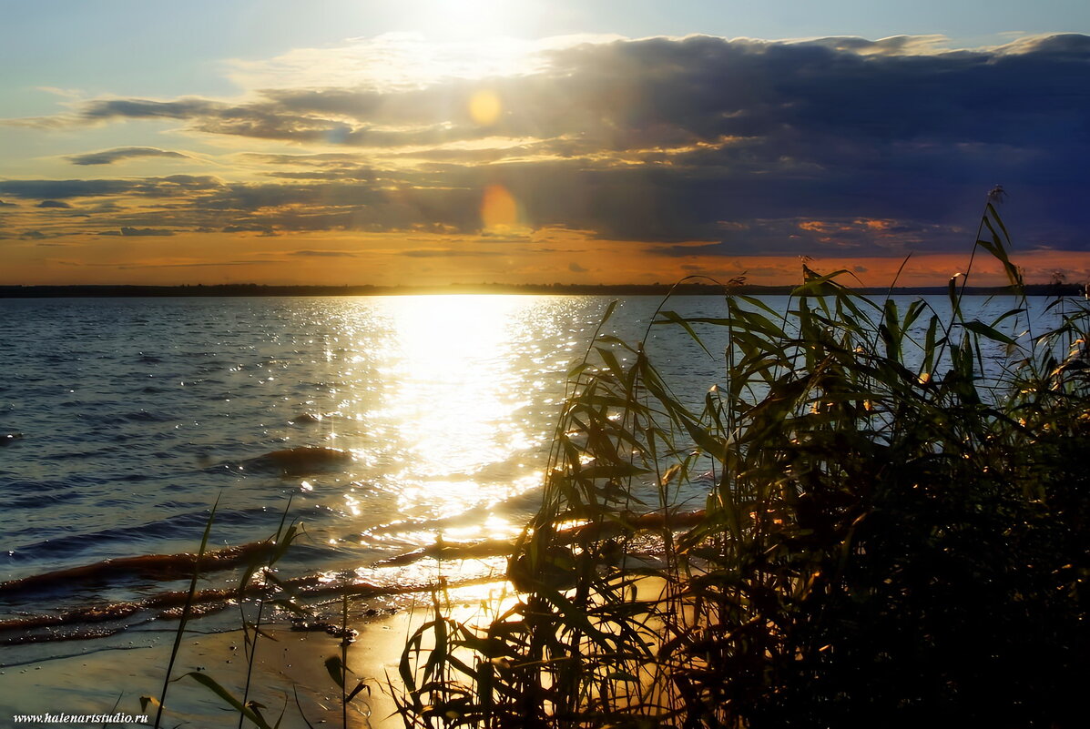 Северная Двина - Игорь Корф