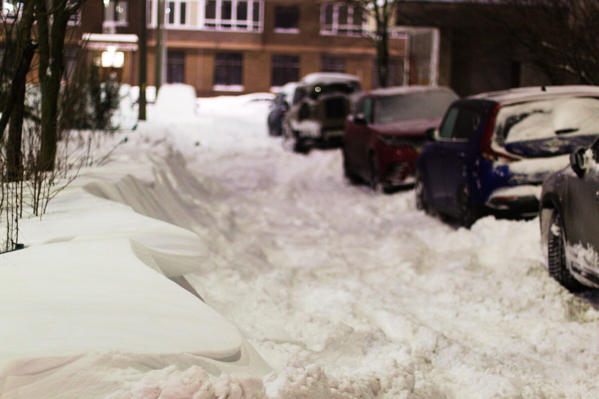 снегопад в подмосковье - Артём Евтюхов снегопад в подмосковье - Артём Евтюхов