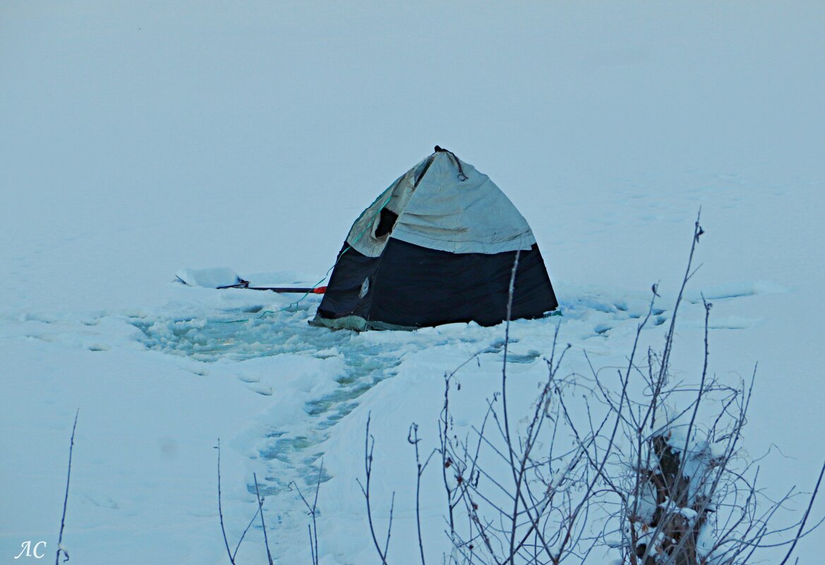 Одинокая палатка рыбака - Любовь Сахарова