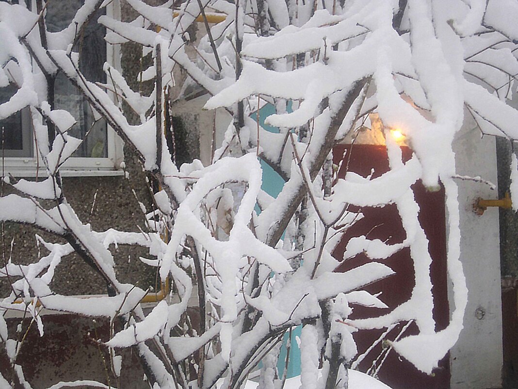 Снежной зимой - Елена Семигина