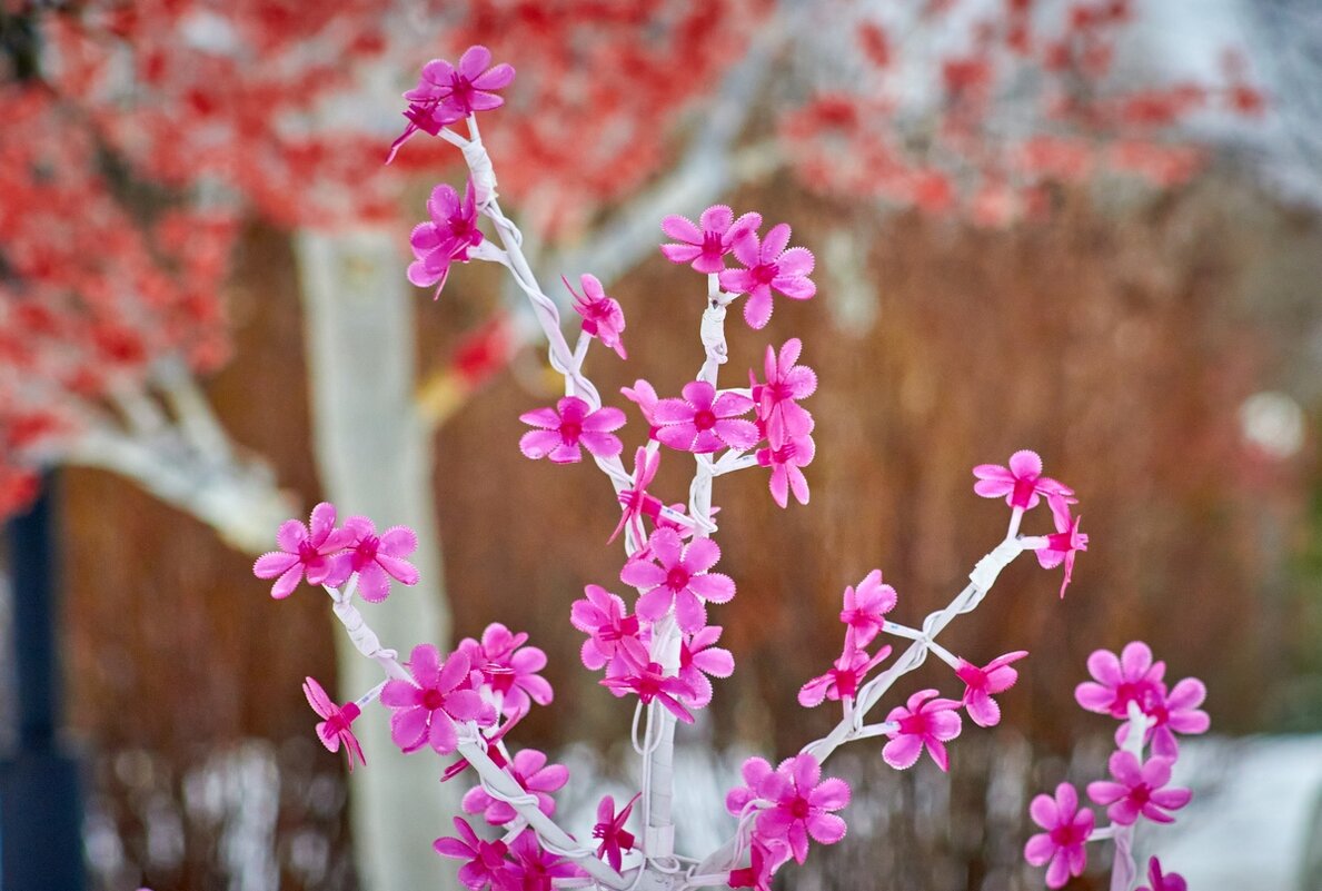 Зимние цветы ... - Ravile 