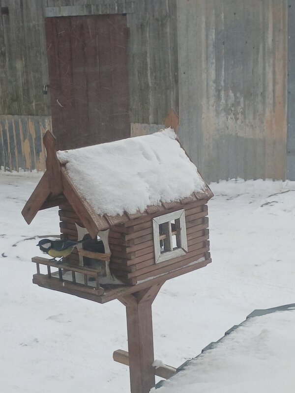 Синичка на кормушке - BoxerMak Mak