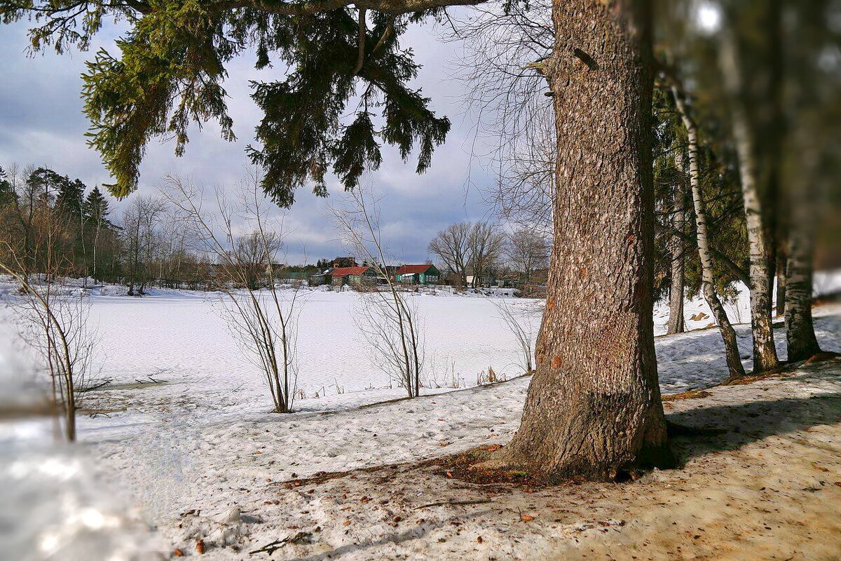 Зима, Подмосковье - ZNatasha -