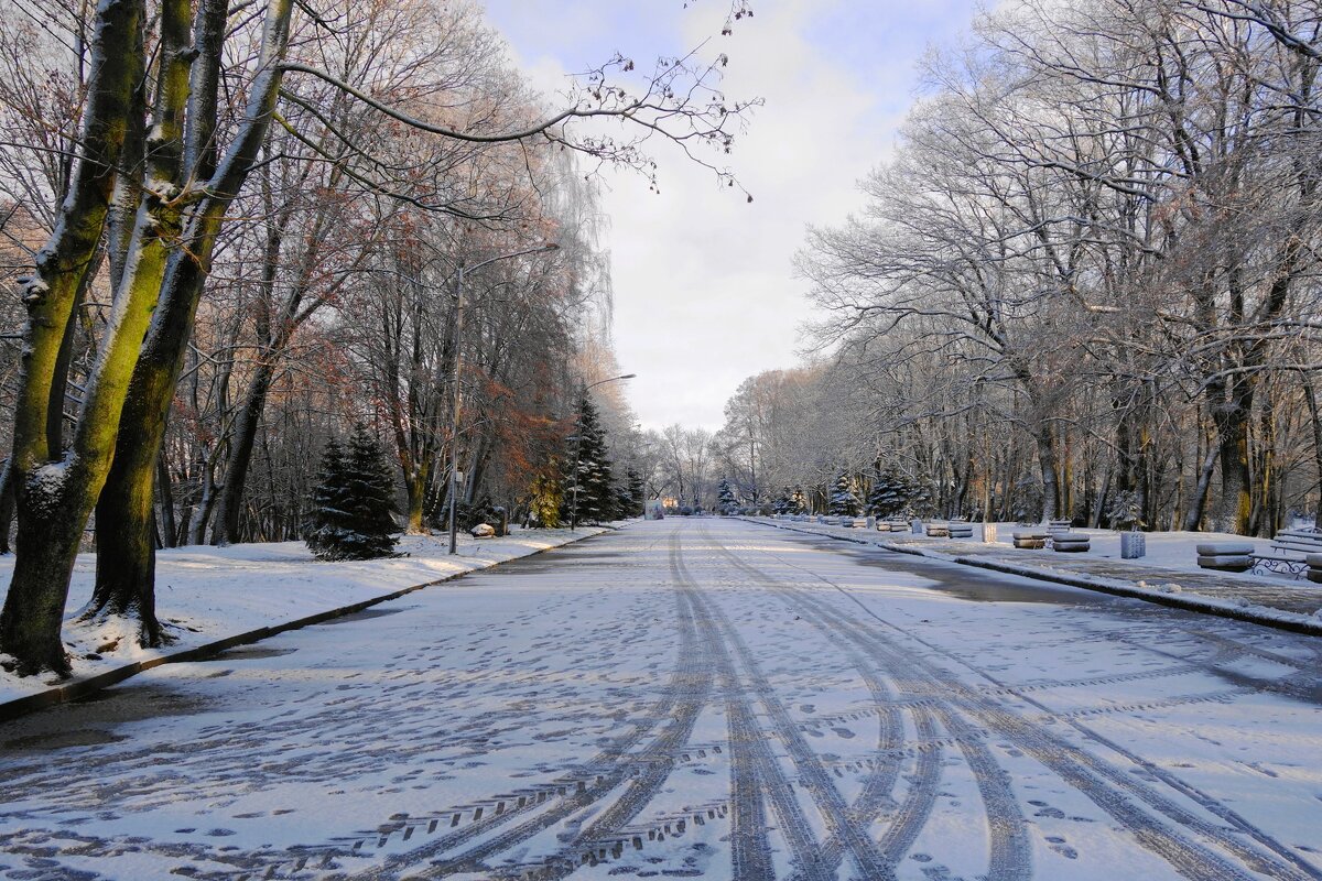 Парк Южный, Калининград - Рита Симонова