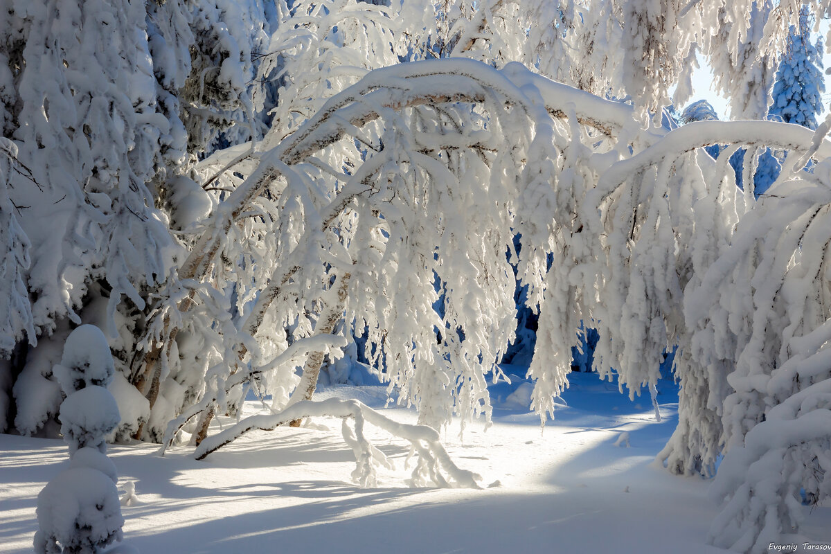 Солнечное утро - Евгений Тарасов 