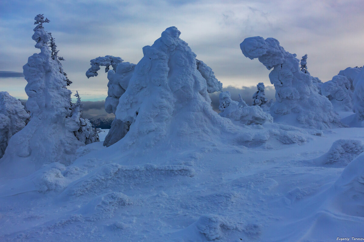На вершине - Евгений Тарасов 