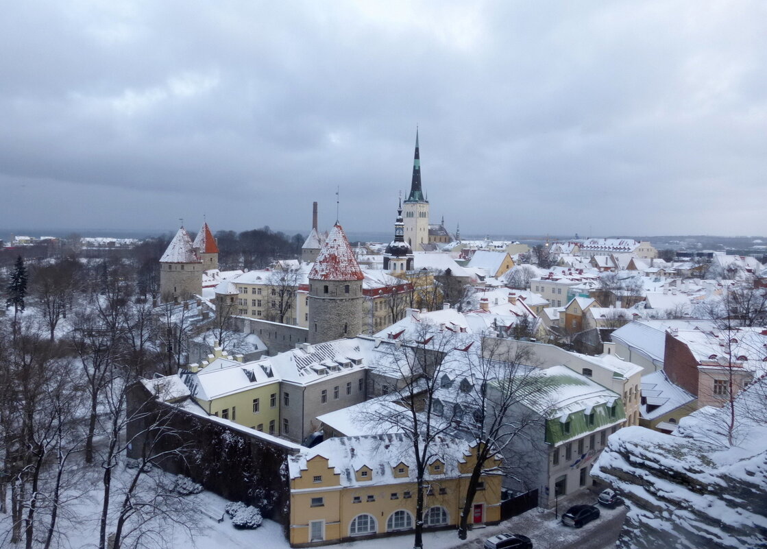 Зимний Таллинн - Елена Суханова