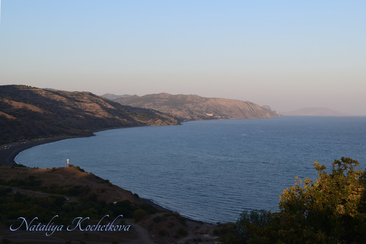 Природа Крыма - Amazing Cosmea