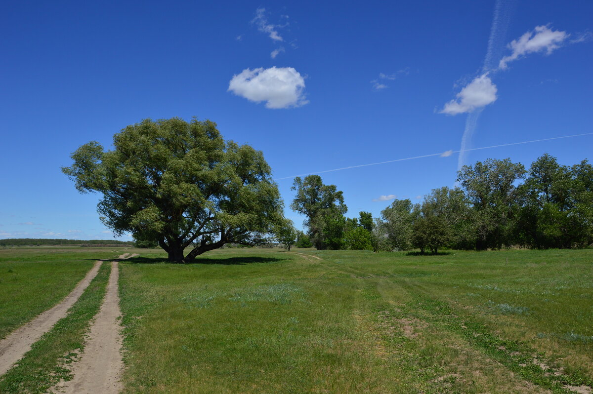Мои дороги. - Виктор 
