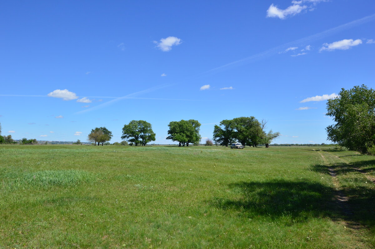Донские виды. - Виктор 