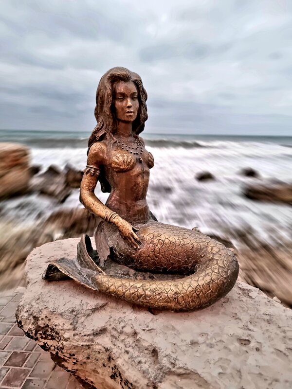 на свете много чудес - Ольга Косачова