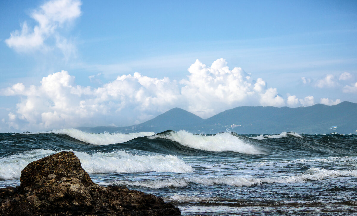 Море. - Александр. AVG100 ---