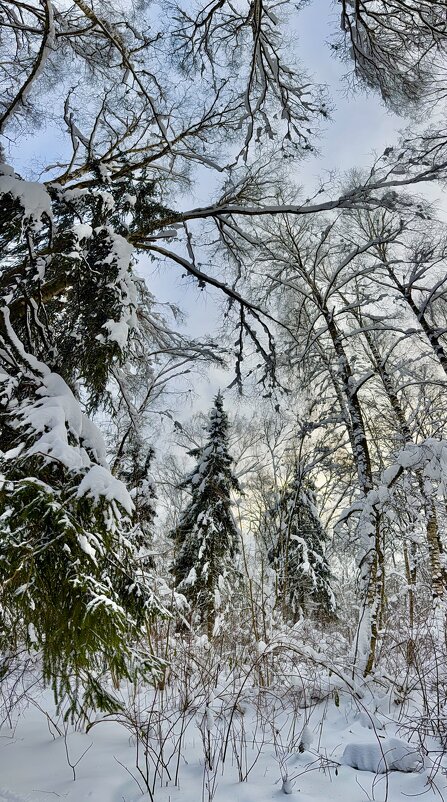 Зимняя сказка - Любовь 