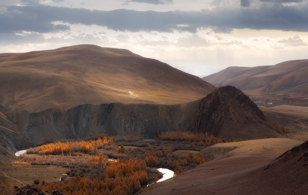 Кокоря - Sergey38 