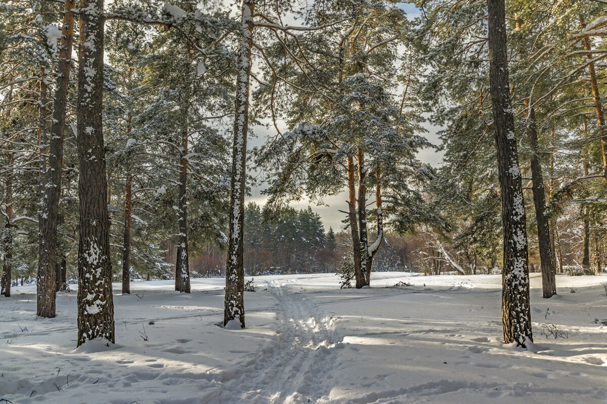 130 - Александр Иванович Шитов