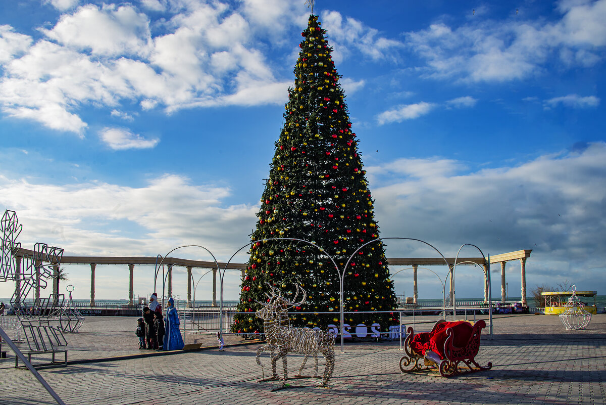 Ёлка - Анатолий Чикчирный