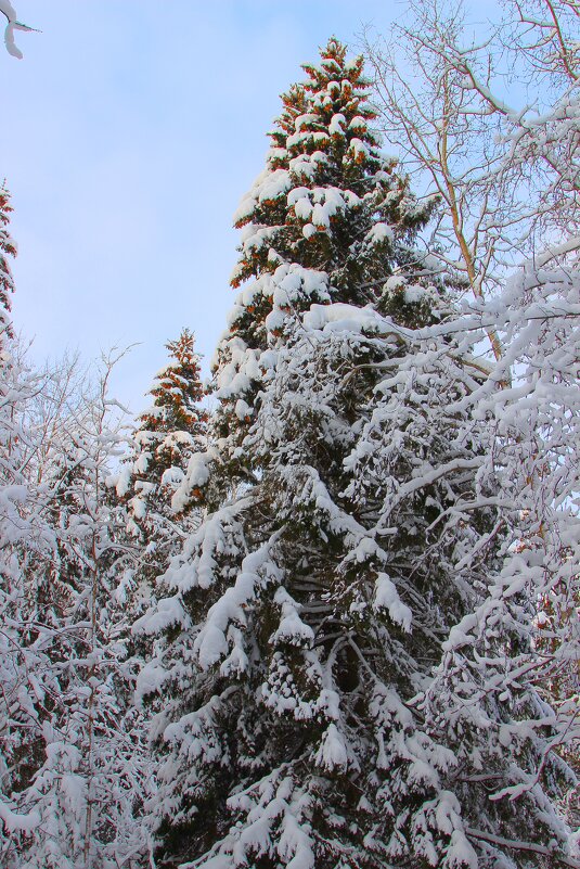... - Владимир иванов