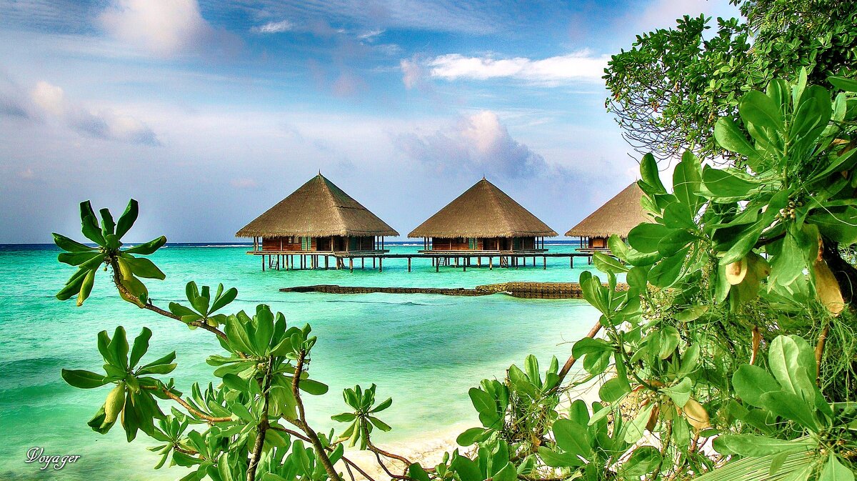Мальдивы - Voyager .