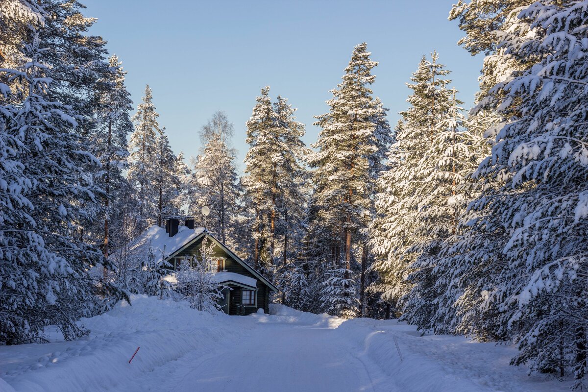 Зима - yav 110455