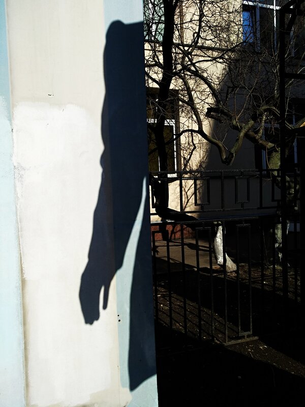 *** - Сергей Полянский