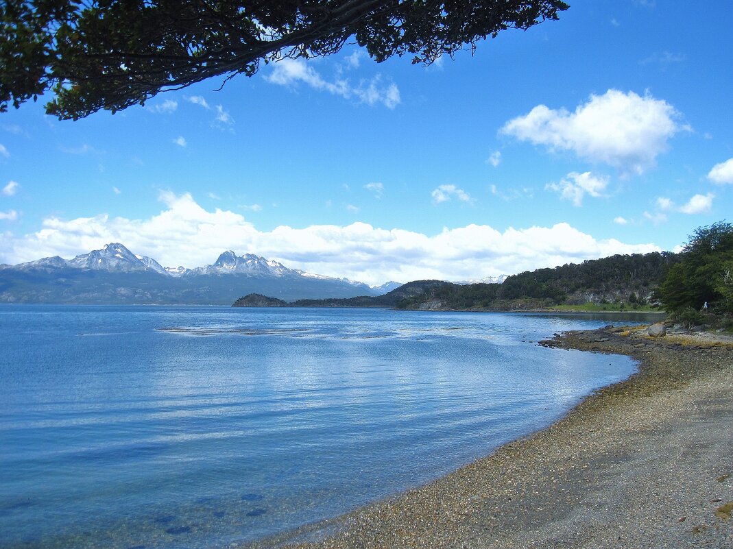 На берегу пролива Бигля, на Огненной Земле. - unix (Илья Утропов)