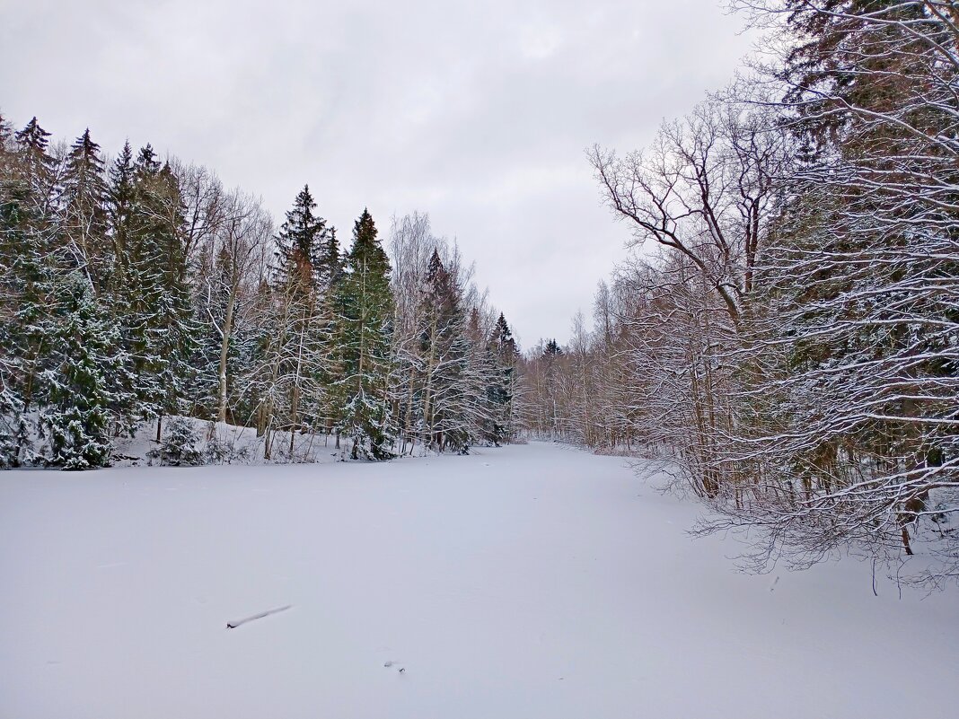 Лесная речка - Лия ☼