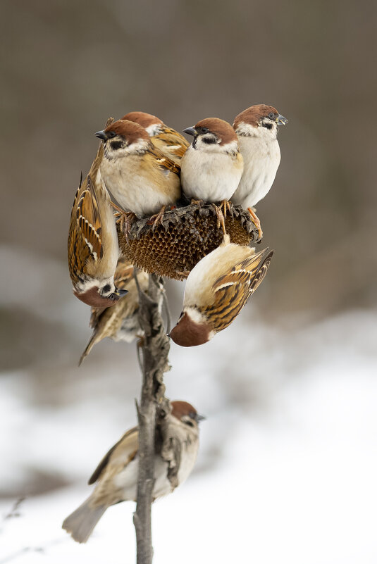 Всем места хватит - Валерий Черняк