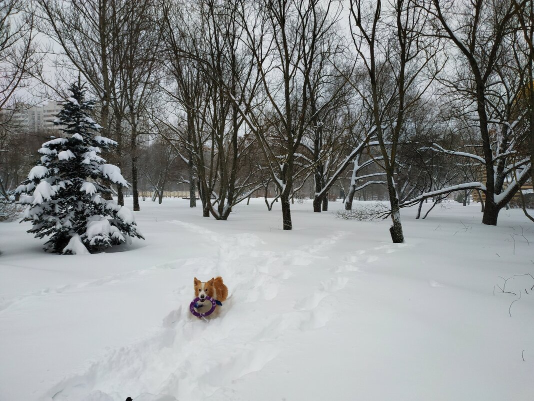 Игра - Андрей Лукьянов