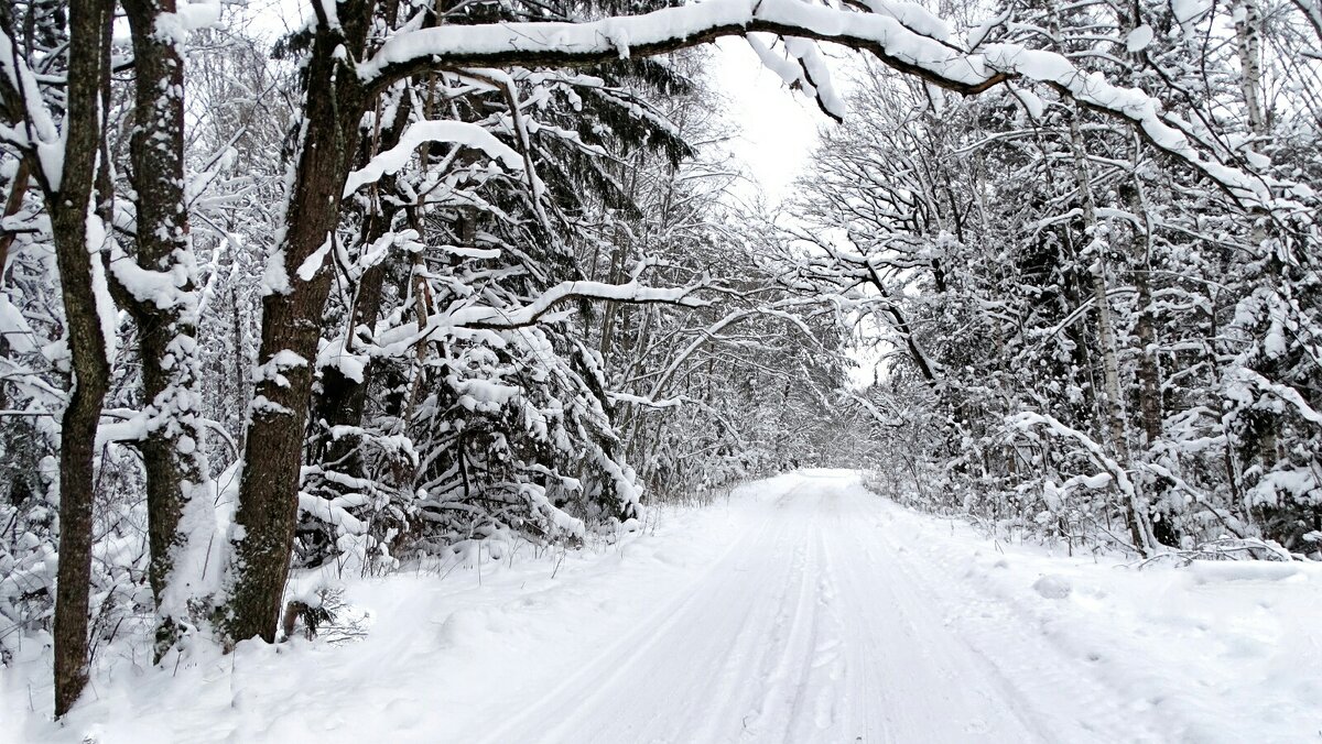 Зимний пейзаж. - Милешкин Владимир Алексеевич 