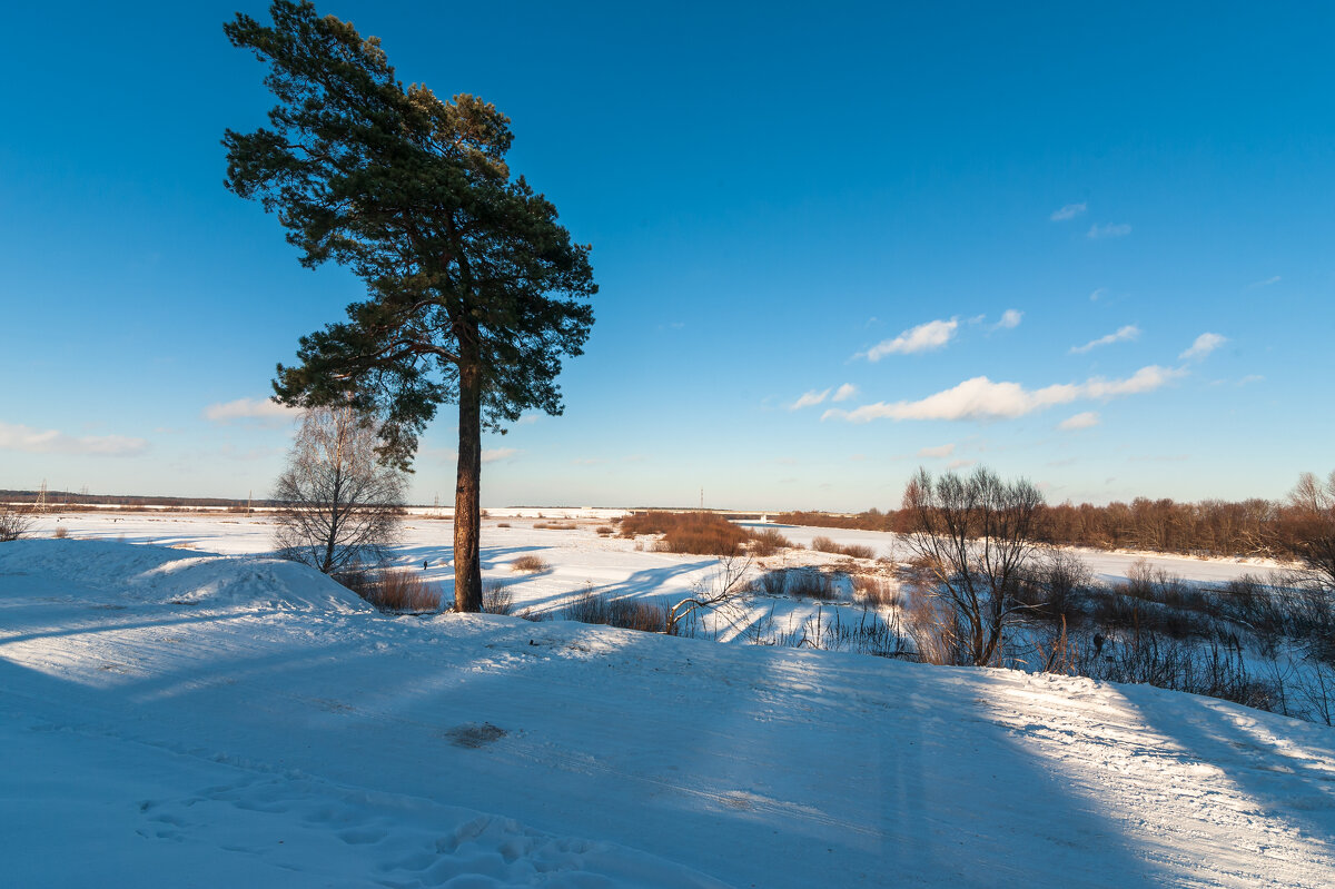 ... - василий 