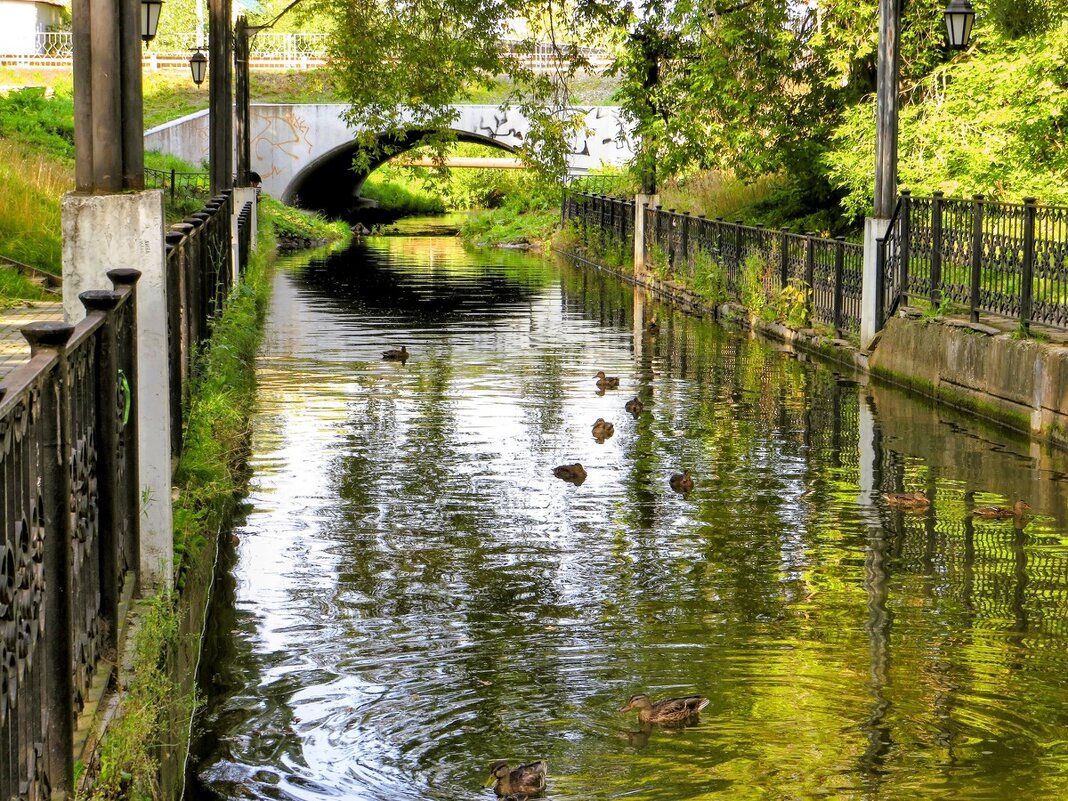 В парке - Лариса С.