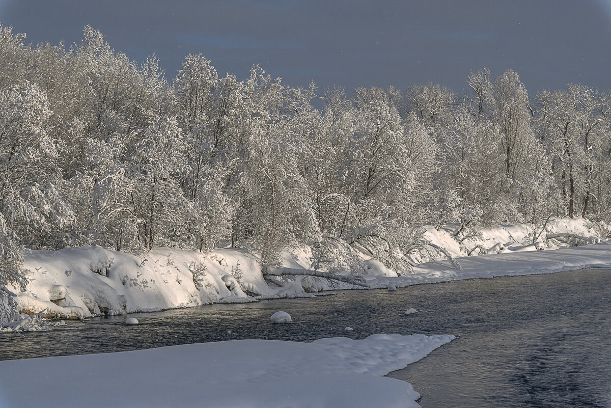 ... - Жора Житников ... - Жора Житников