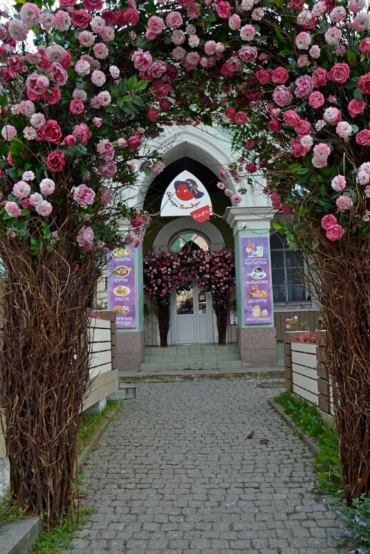 ВЫБОРГ. - Виктор Осипчук