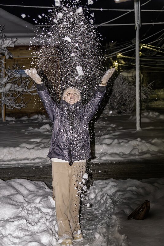 За несколько часов до Нового 2026 года - Игорь Сикорский