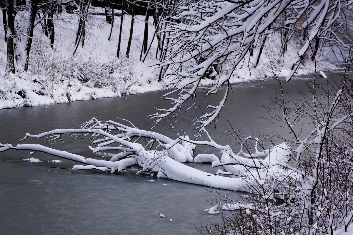 Парк Южный, Калининград - Рита Симонова