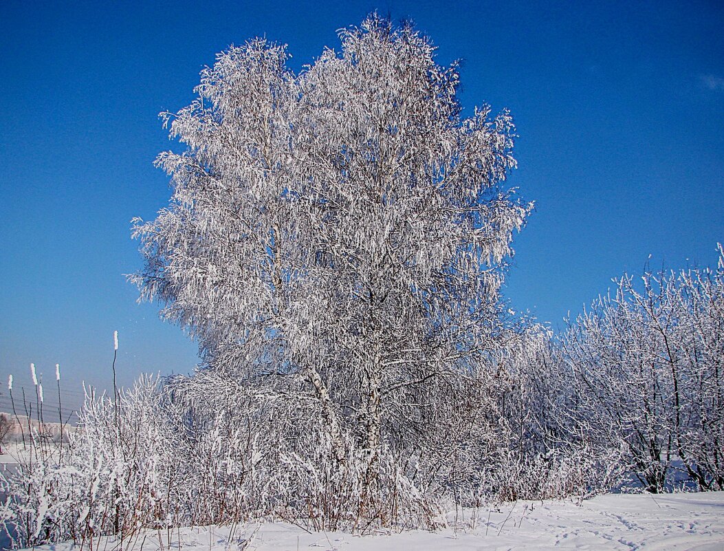 Завязались кружева ,,, - Анатолий Колосов