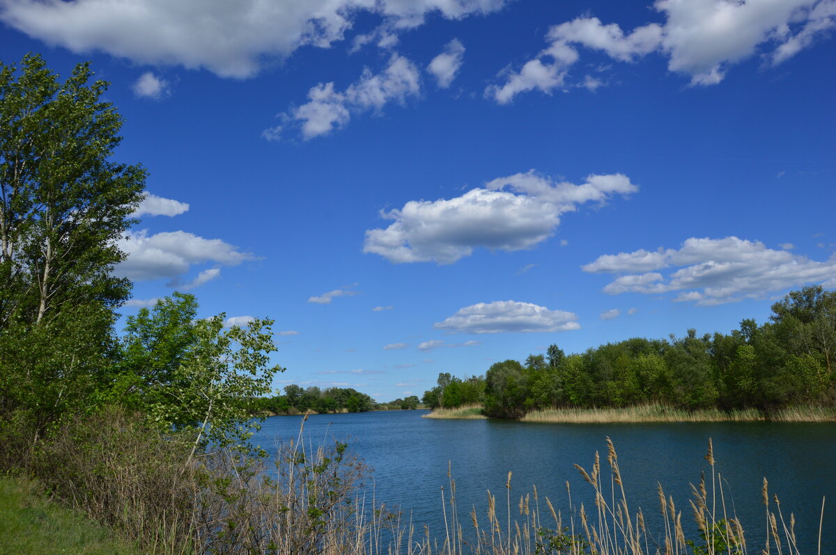У реки. - Виктор 