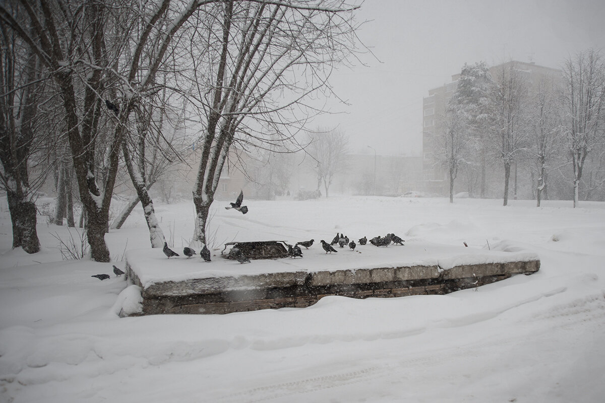 Городские картинки - Владимир Носов