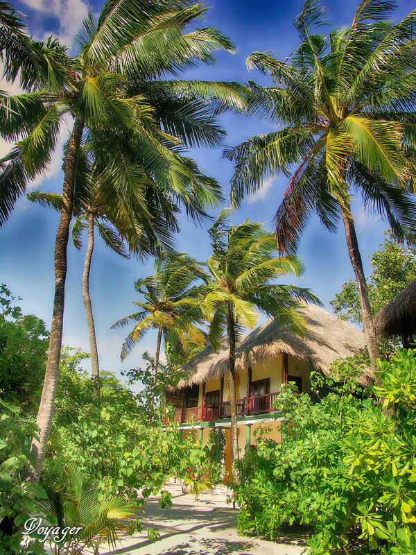 Мальдивы - Voyager .