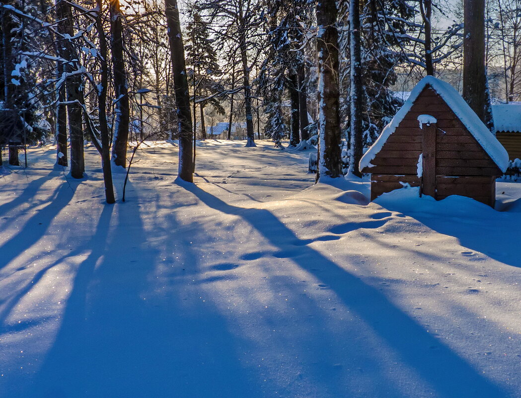 Голубые тени - Наталья Rosenwasser