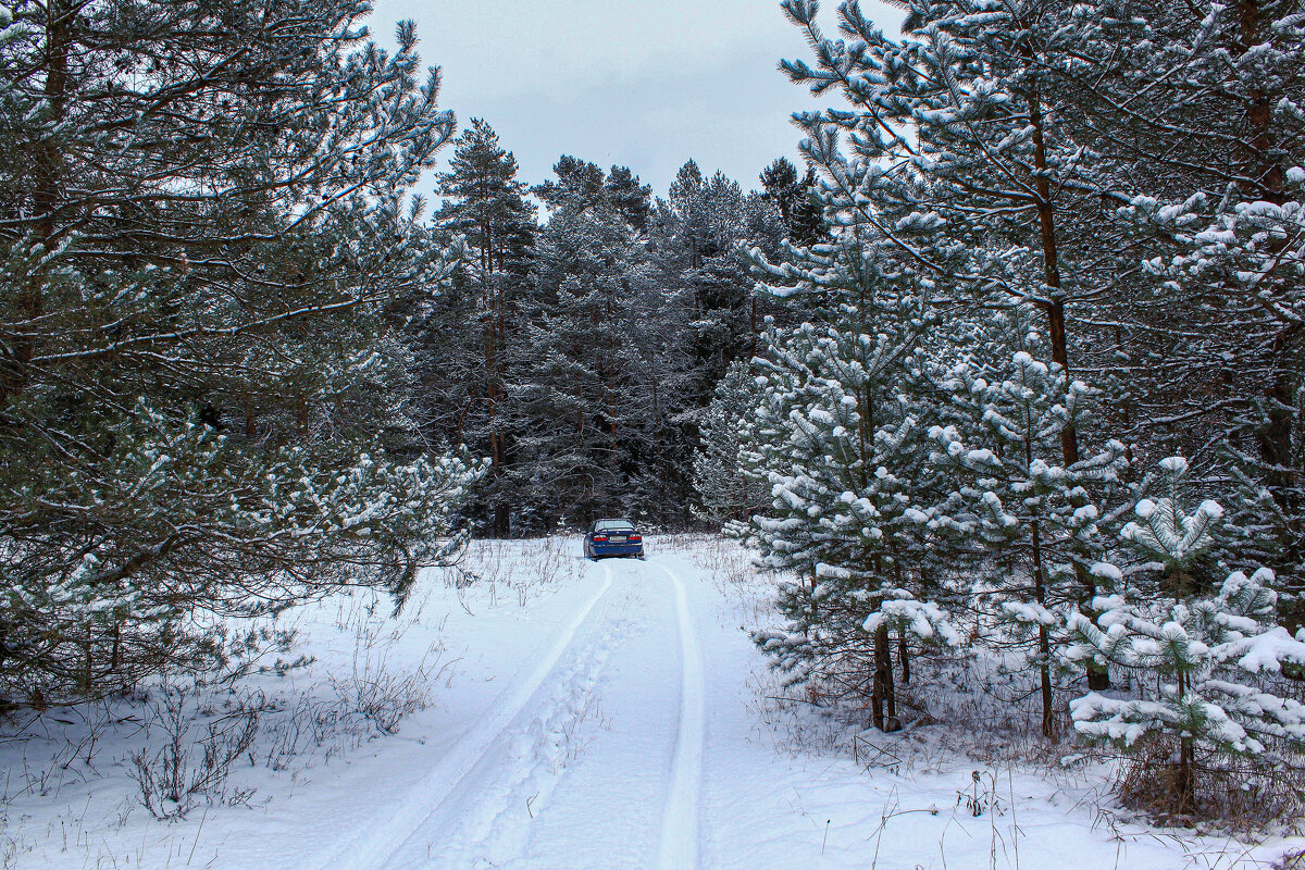 зима - Владимир Зеленцов