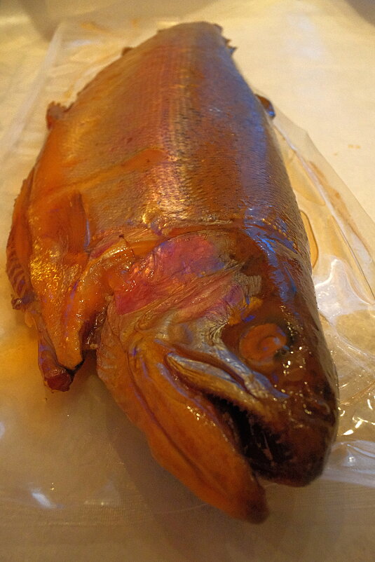 Форелька. - Лютый Дровосек